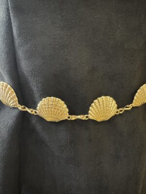 Alternative view of Cinturón Conchas