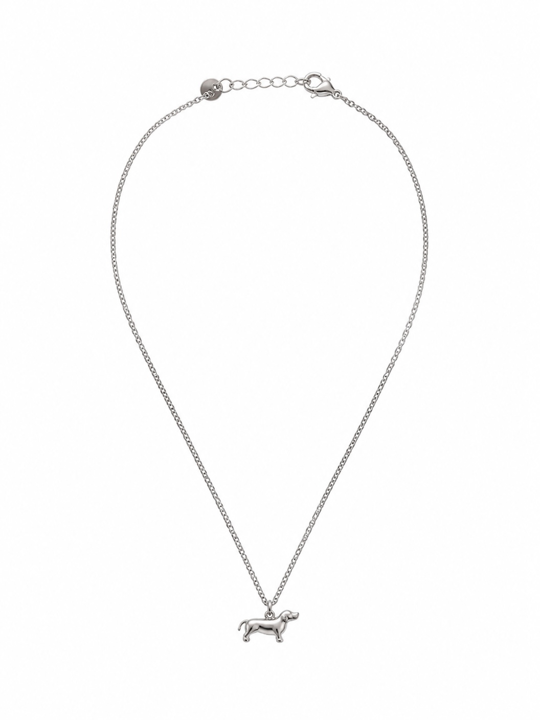 Collar Perro